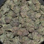 Black Berry strain, Black Berry weed strain, Black Berry marijuana strain, Black Berry Buds