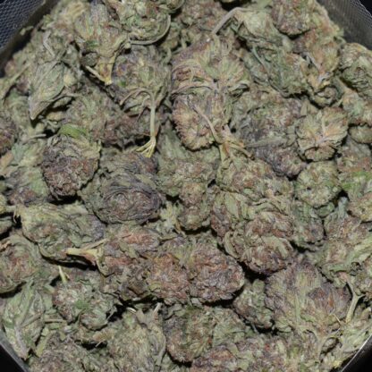 Black Berry strain, Black Berry weed strain, Black Berry marijuana strain, Black Berry Buds