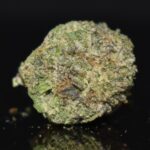 I-95 strain, I-95 weed strain, I-95 marijuana strain, I-95 Buds