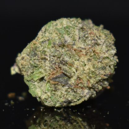 I-95 strain, I-95 weed strain, I-95 marijuana strain, I-95 Buds