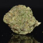 I-95 strain, I-95 weed strain, I-95 marijuana strain, I-95 Buds