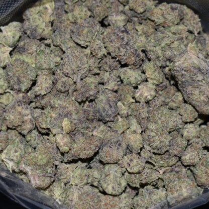 I-95 strain, I-95 weed strain, I-95 marijuana strain, I-95 Buds