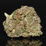 Bluefin Tuna strain, Bluefin Tuna weed strain, Bluefin Tuna marijuana strain, Bluefin Tuna Buds