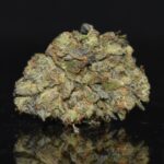 Bluefin Tuna strain, Bluefin Tuna weed strain, Bluefin Tuna marijuana strain, Bluefin Tuna Buds