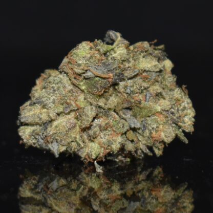 Bluefin Tuna strain, Bluefin Tuna weed strain, Bluefin Tuna marijuana strain, Bluefin Tuna Buds