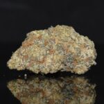 Chocolate Chip strain, Chocolate Chip weed strain, Chocolate Chip marijuana strain, Chocolate Chip Buds