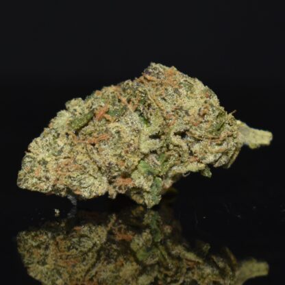Gastro Pop strain, Gastro Pop weed strain, Gastro Pop marijuana strain, Gastro Pop Buds