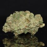 Golden Oreoz strain, Golden Oreoz weed strain, Golden Oreoz marijuana strain, Golden Oreoz Buds