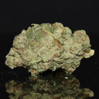 Golden Oreoz strain, Golden Oreoz weed strain, Golden Oreoz marijuana strain, Golden Oreoz Buds