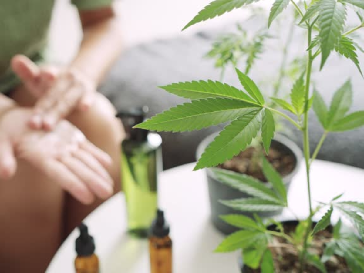 best weed delivery Toronto