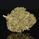 Gelato Cake strain, Gelato Cake weed strain, Gelato Cake marijuana strain, Gelato Cake Buds