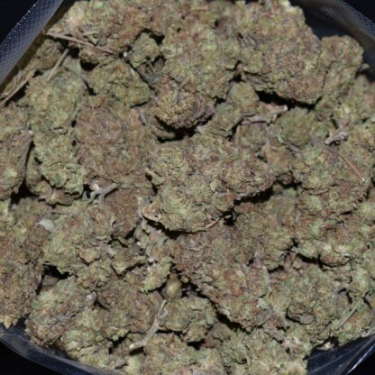 Gelato Cake strain, Gelato Cake weed strain, Gelato Cake marijuana strain, Gelato Cake Buds