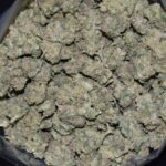 Pink Picasso strain, Pink Picasso weed strain, Pink Picasso marijuana strain, Pink Picasso Buds