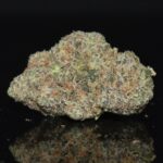 Devil's Gelato strain, Devil's Gelato weed strain, Devil's Gelato marijuana strain, Devil's Gelato Buds