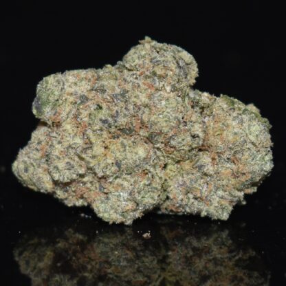 Devil's Gelato strain, Devil's Gelato weed strain, Devil's Gelato marijuana strain, Devil's Gelato Buds