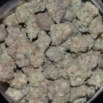 Gorilla Glue AAAA strain, Gorilla Glue AAAA weed strain, Gorilla Glue AAAA marijuana strain, Gorilla Glue AAAA Buds
