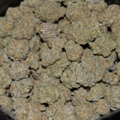 Gumbo strain, Gumbo weed strain, Gumbo marijuana strain, Gumbo Buds