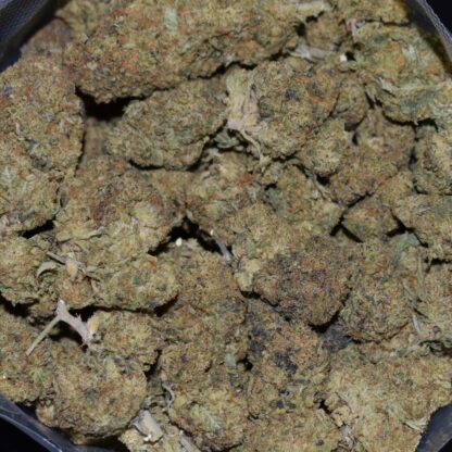Monkey King strain, Monkey King weed strain, Monkey King marijuana strain, Monkey King Buds