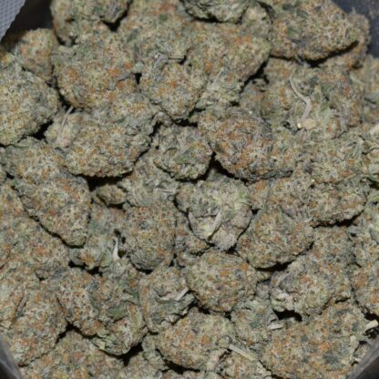 OLO Cookies strain, OLO Cookies weed strain, OLO Cookies marijuana strain, OLO Cookies Buds