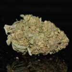 Purple Space Cookies strain, Purple Space Cookies weed strain, Purple Space Cookies marijuana strain, Purple Space Cookies Buds