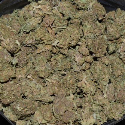 Purple Space Cookies strain, Purple Space Cookies weed strain, Purple Space Cookies marijuana strain, Purple Space Cookies Buds