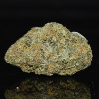 White Gold strain, White Gold weed strain, White Gold marijuana strain, White Gold Buds