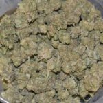 Birthday Cake strain, Birthday Cake weed strain, Birthday Cake marijuana strain, Birthday Cake Buds