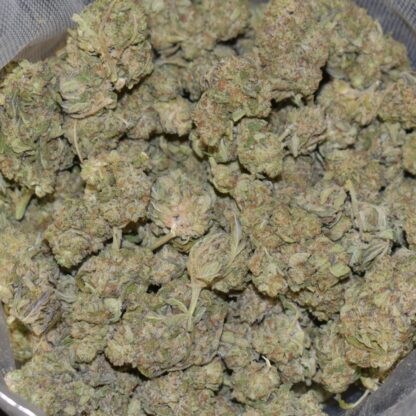 Birthday Cake strain, Birthday Cake weed strain, Birthday Cake marijuana strain, Birthday Cake Buds