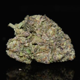 Purple Bomb strain, Purple Bomb weed strain, Purple Bomb marijuana strain, Purple Bomb Buds